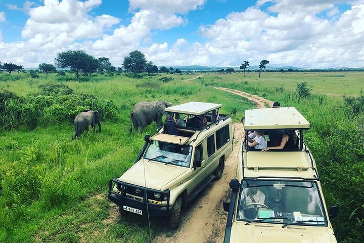 Best Tanzania guided tours with local experts 2025
